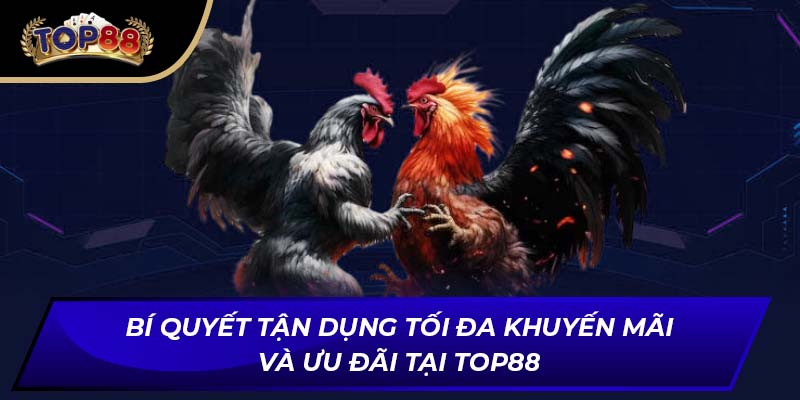 Bí quyết tận dụng tối đa khuyến mãi và ưu đãi tại TOP88