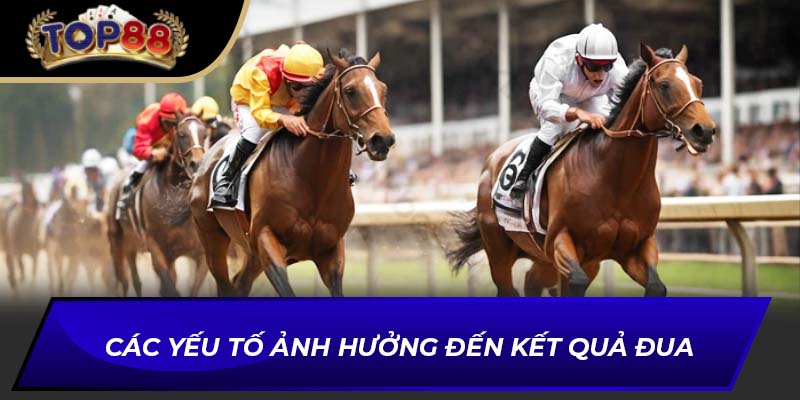 Các yếu tố ảnh hưởng đến kết quả đua