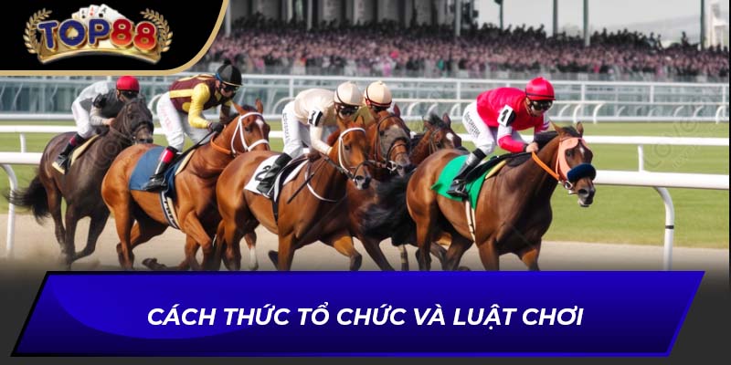 Cách thức tổ chức và luật chơi