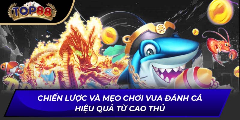 Chiến lược và mẹo chơi Vua Đánh Cá hiệu quả từ cao thủ