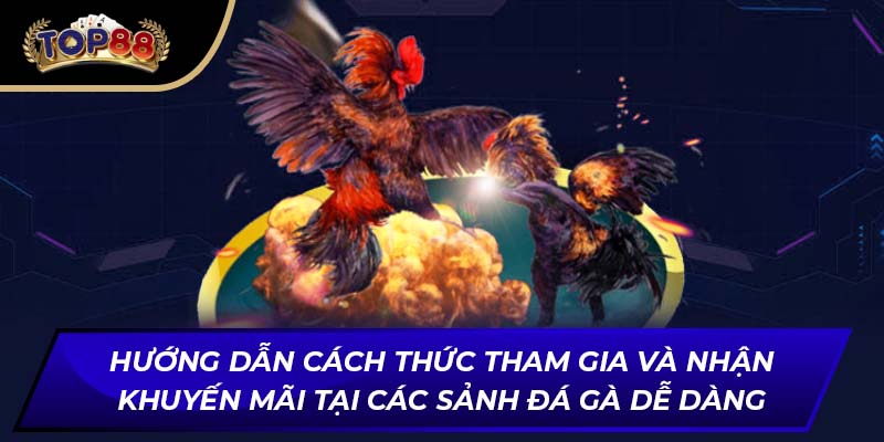 Hướng dẫn cách thức tham gia và nhận khuyến mãi tại các sảnh đá gà dễ dàng