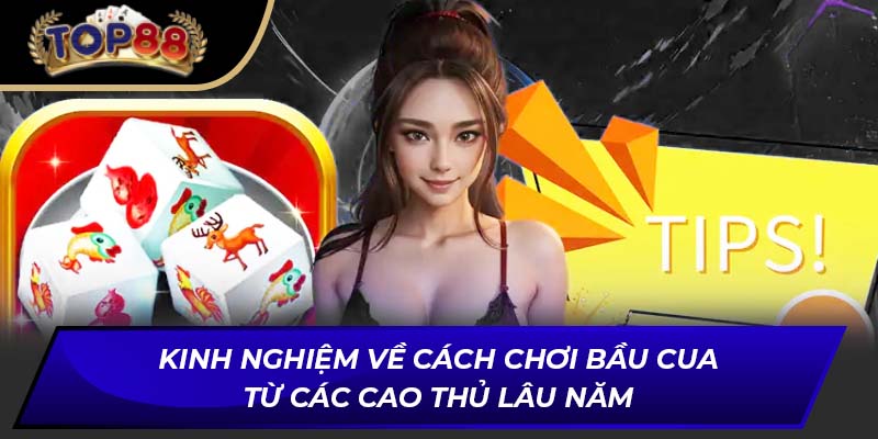 Kinh nghiệm về cách chơi bầu cua từ các cao thủ lâu năm