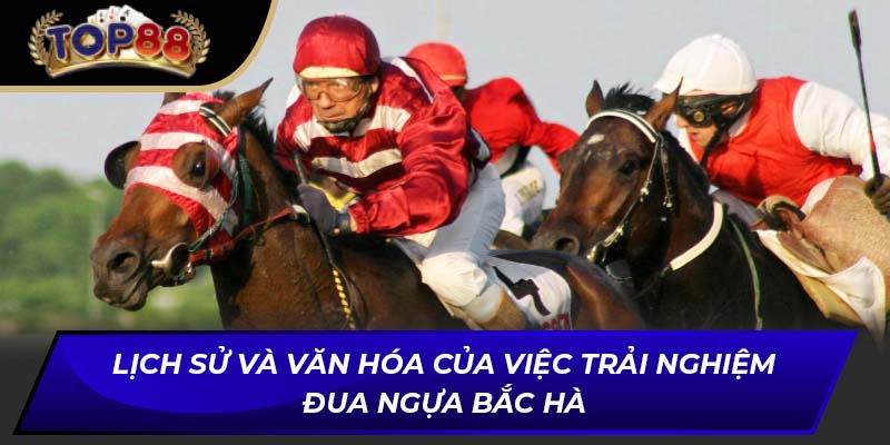 Lịch sử và văn hóa của việc trải nghiệm đua ngựa Bắc Hà