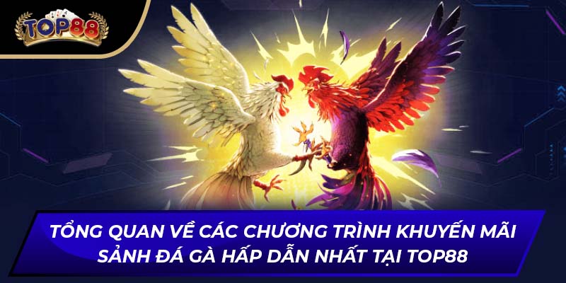 Tổng quan về các chương trình khuyến mãi sảnh đá gà hấp dẫn nhất tại TOP88